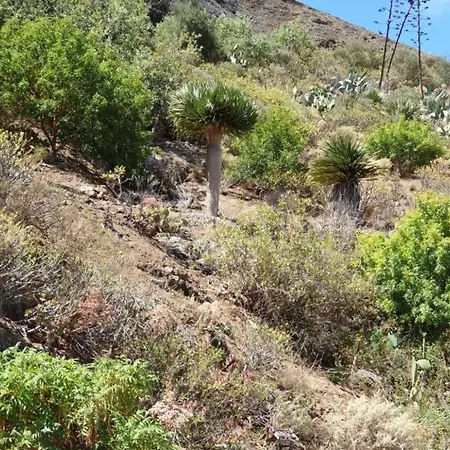 La Cueva Del Gato Dom wakacyjny Santa Brígida